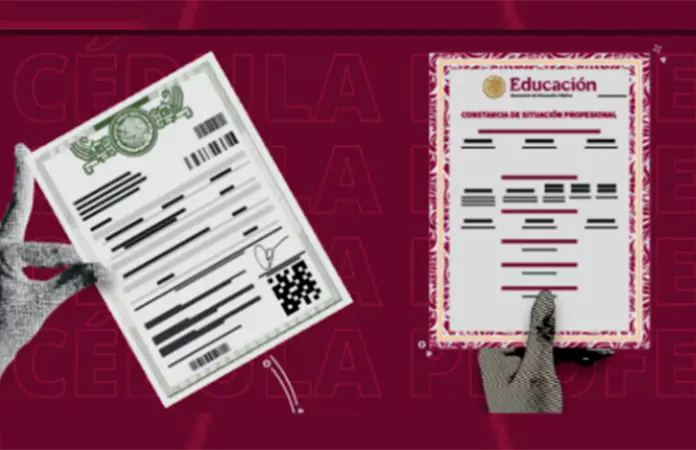 Constancia de Situación Profesional: Nuevo CV Digital en México