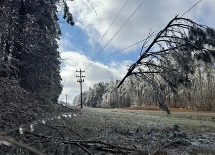 Fr&iacute;o Extremo en Estados Unidos: Decenas de Muertes por Bajas Temperaturas