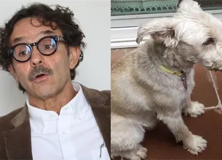 Gabriel Quadri denuncia la muerte de su perrito Vito a manos de un pastor belga