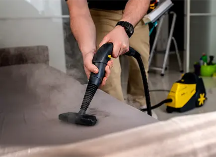 Gu&iacute;a Paso a Paso para Erradicar Chinches del Colch&oacute;n