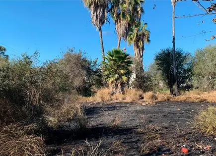 Se disparan ola de incendios en la ciudad