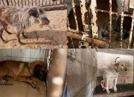 Especial | El 7 de enero, autoridades ingresaron y hallaron horror