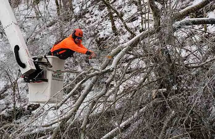 Tormenta invernal amenaza este de EU