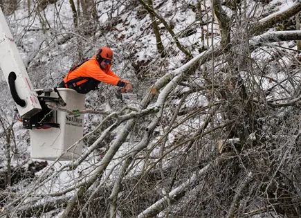 Tormenta Invernal Golpea Estados Unidos con Amenazas de Ciclón Bomba Tormenta Invernal Golpea Estados Unidos con Amenazas de Ciclón Bomba