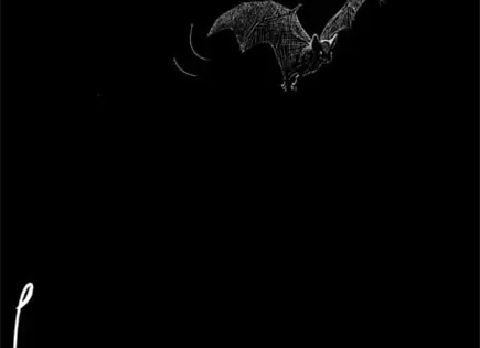 Ad&aacute;n Augusto...