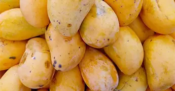 Golpe a econom&iacute;a familiar, aumenta costo de frutas