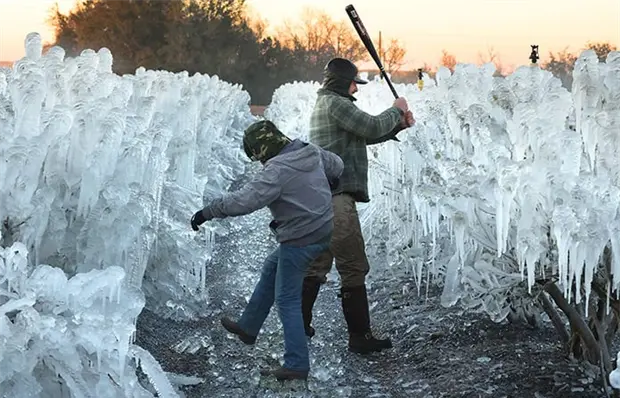 Intensa nevada pega en Florida
