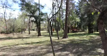 Viento tir&oacute; &aacute;rboles en los Tangamanga