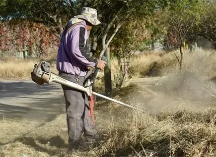 Dan mantenimiento a &aacute;rea verde en Sim&oacute;n D&iacute;az