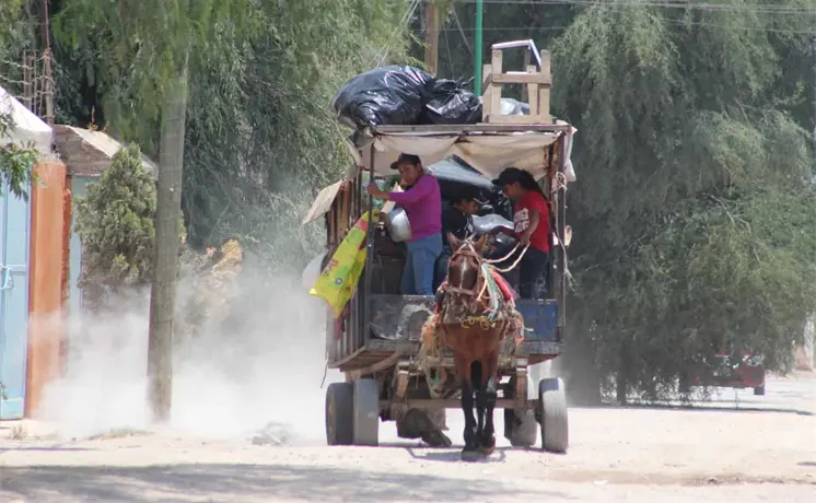 Ecología retira a 5 carretoneros por usar animales de tiro Ecología retira a 5 carretoneros por usar animales de tiro