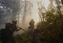 Incendios en Argentina arrasan bosques de la Patagonia Incendios en Argentina arrasan bosques de la Patagonia