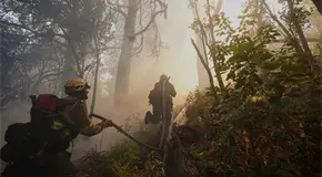 Incendios en Argentina arrasan bosques de la Patagonia Incendios en Argentina arrasan bosques de la Patagonia