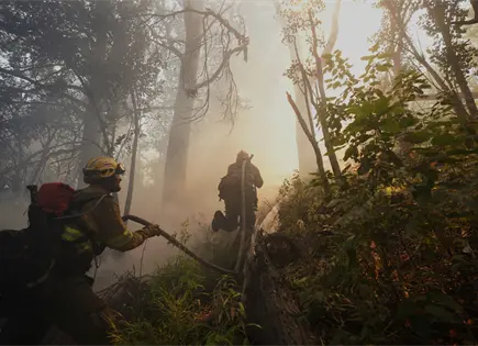 Incendios en Argentina arrasan bosques de la Patagonia Incendios en Argentina arrasan bosques de la Patagonia
