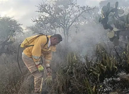 Combaten incendio forestal en Mexquitic