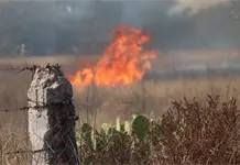 Efecto lupa desata enorme incendio en Soledad (video)