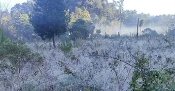 Habitantes de La Trinidad, casi se congelan