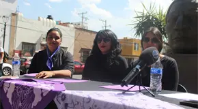 Organizaciones presentan iniciativa para delitos sexuales