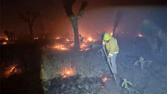 Incendio en Santo Domingo, controlado al 40%: CEPC