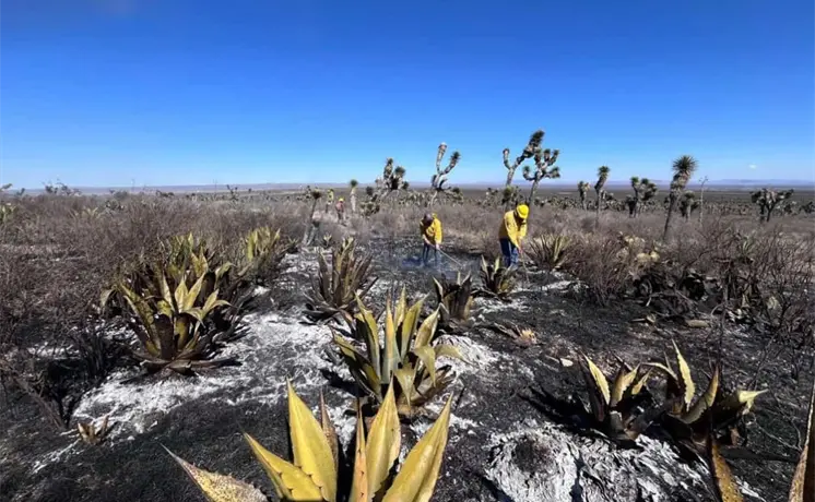 SLP, el estado m&aacute;s afectado por incendios forestales
