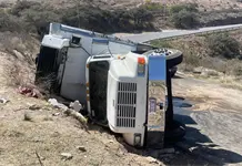 Saquean carga de pollos tras volcadura en carretera 80