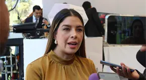 PVEM analizar&aacute; a fondo una reforma electoral: Ruth Gonz&aacute;lez