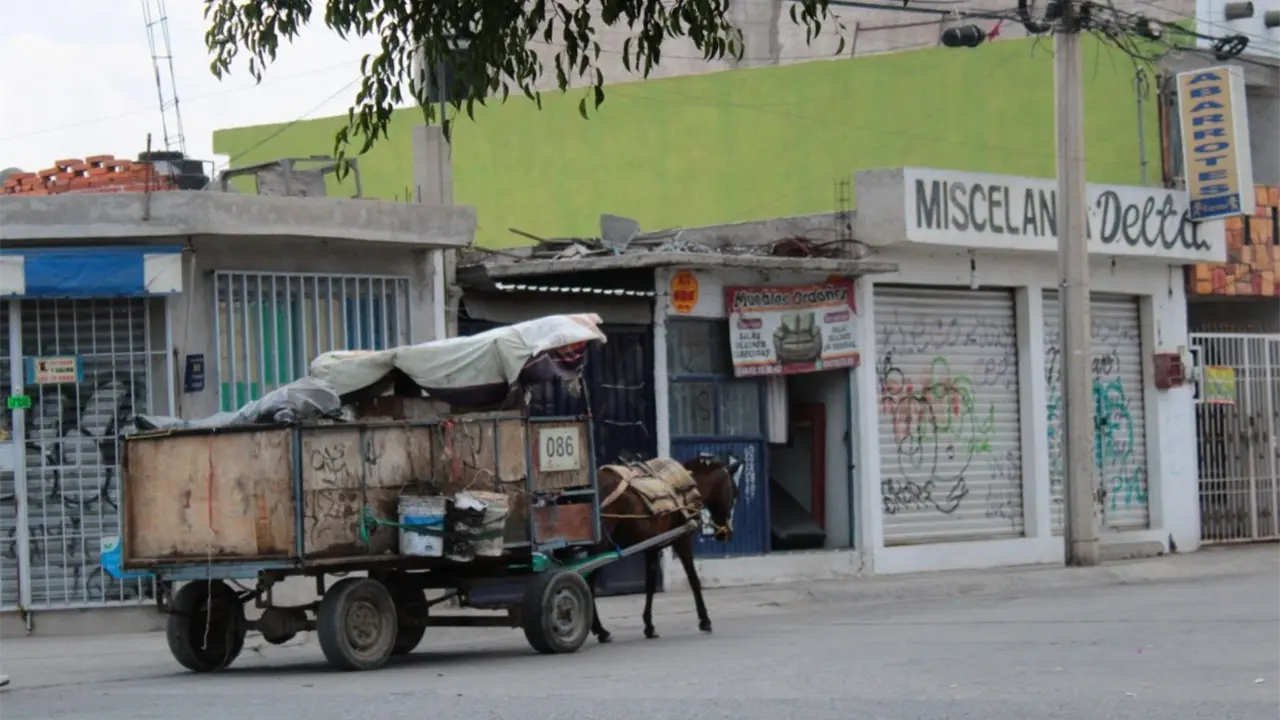 Foto: Omar Hernández/Pulso