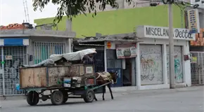 Incumplen alcaldías con prohibir uso de animales de carga