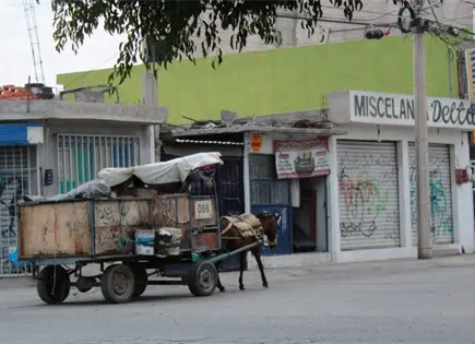 Incumplen alcald&iacute;as con prohibir uso de animales de carga