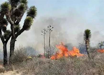 SL, el estado m&aacute;s afectado por incendios