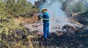 Ca&ntilde;eros deber&aacute;n respetar reglas para quema de gram&iacute;nea