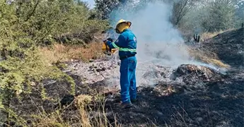 Ca&ntilde;eros deber&aacute;n respetar reglas para quema de gram&iacute;nea