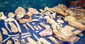 El Museo Regional invita al foro de mitos y leyendas