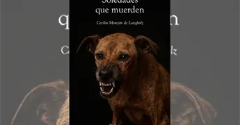 Narrar la ciudad desde la soledad