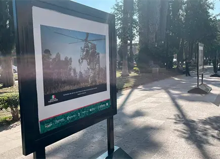 Una mirada fotogr&aacute;fica al servicio