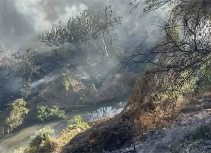 Vecinos denuncian abandono ante incendio en el Río Paisanos Vecinos denuncian abandono ante incendio en el Río Paisanos