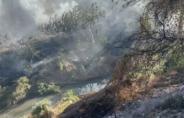 Vecinos denuncian abandono ante incendio en el R&iacute;o Paisanos
