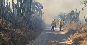 Arde el Panalillo; fin de semana con varios incendios en Pozos