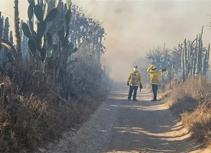 Arde el Panalillo; fin de semana con varios incendios en Pozos Arde el Panalillo; fin de semana con varios incendios en Pozos