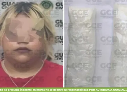Intent&oacute; ingresar m&aacute;s de 300 gramos de "cristal" a La Pila