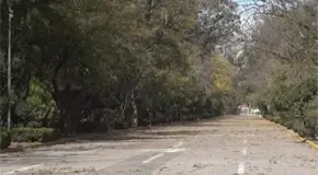 Gráfico | Alerta CEPC por fuertes vientos en SLP Gráfico | Alerta CEPC por fuertes vientos en SLP