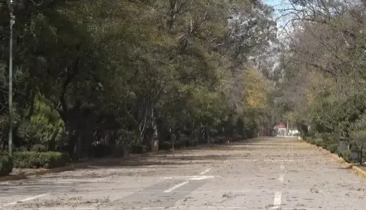Prev&eacute;n vientos por Frente Fr&iacute;o 34; temperaturas seguir&aacute;n agradables