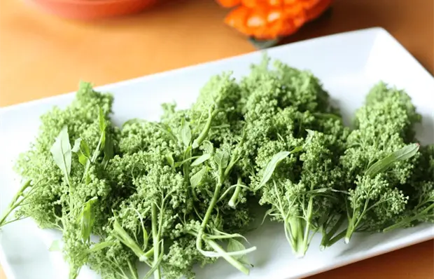 &iquest;Cu&aacute;les son las propiedades nutritivas y curativas del huazontle?