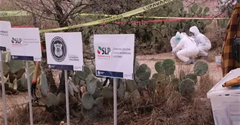 Opacidad pega a b&uacute;squeda de desaparecidos