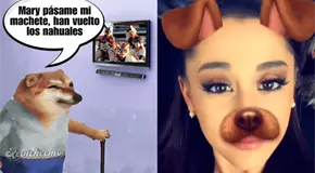 Therians: el fen&oacute;meno viral que preocupa a padres en Latinoam&eacute;rica