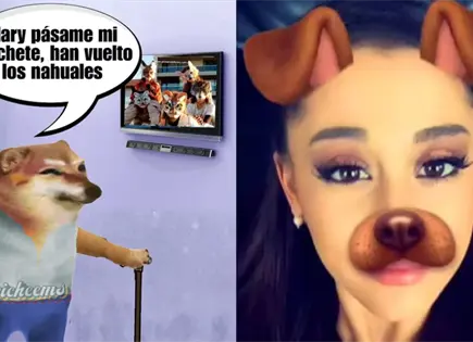 Therians: el fen&oacute;meno viral que preocupa a padres en Latinoam&eacute;rica