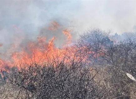Alerta por incendio forestal en Mexquitic (video)