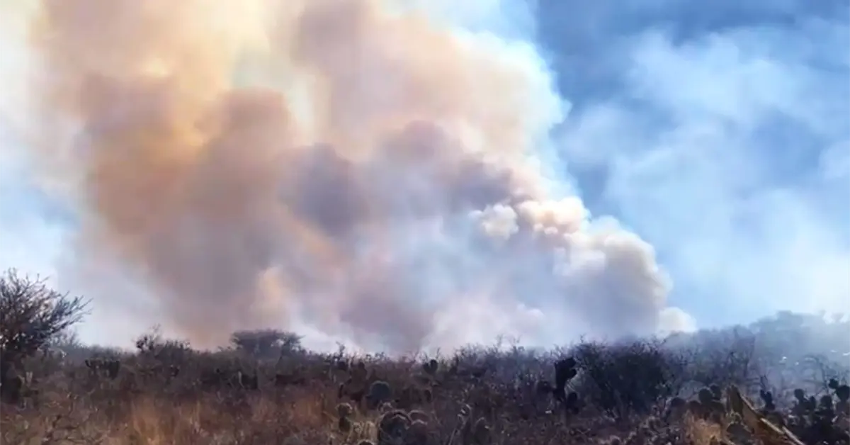 Combaten extenso incendio forestal en Mexquitic (video) Combaten extenso incendio forestal en Mexquitic (video)