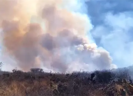 Combaten extenso incendio forestal en Mexquitic (video)