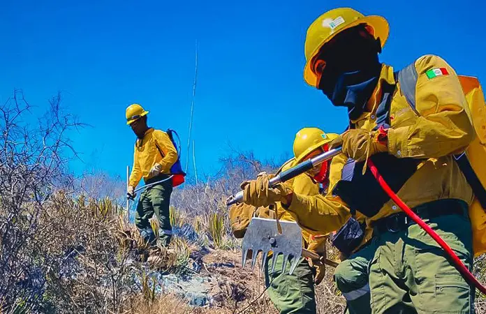 Combaten incendios en Peñitas y Santa Brígida