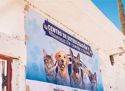 Inauguran el Centro de Esterilizaci&oacute;n Canina y Felina